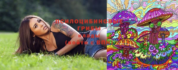 прущая мука Костерёво
