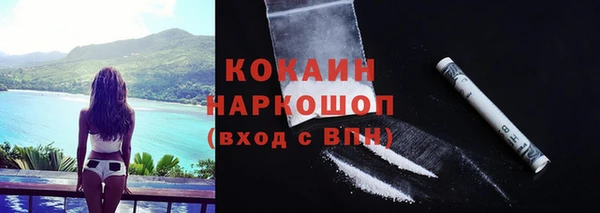 ГАЛЛЮЦИНОГЕННЫЕ ГРИБЫ Коряжма