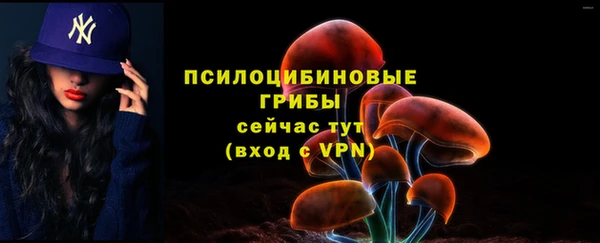 кристаллы Корсаков