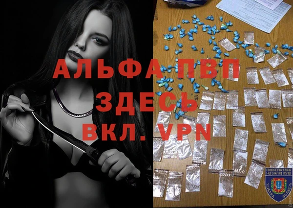 дмт Новокубанск