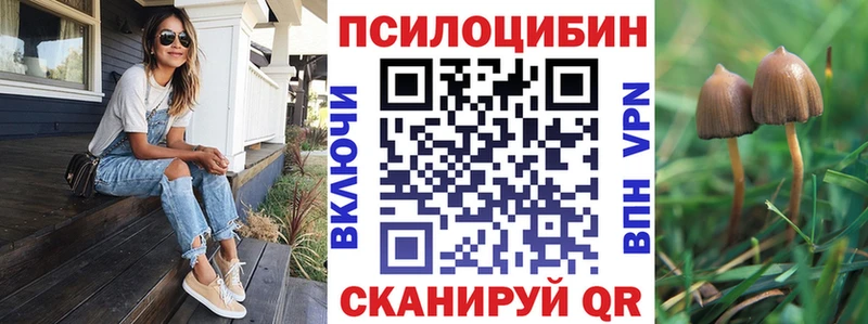 Галлюциногенные грибы мицелий  Лабинск 